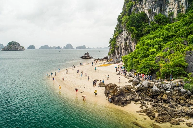 Cùng check in Đảo Titop