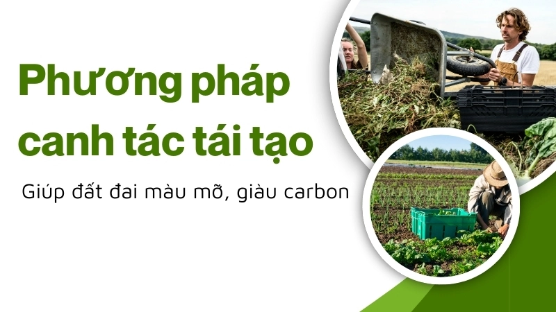 Đất đai màu mỡ, giàu carbon nhờ phương pháp canh tác tái tạo