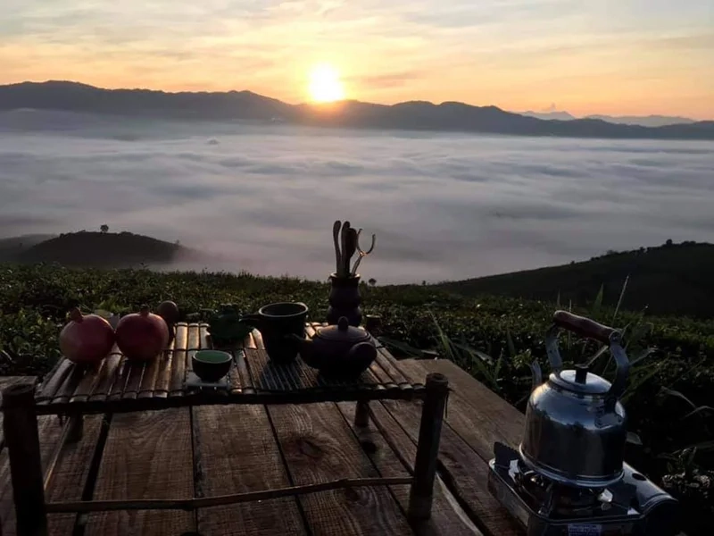 Thưởng ngoạn vẻ đẹp của đồi bát úp bảo lộc mùa sương mù