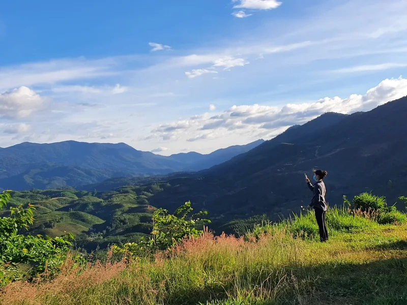 Bạn đã biết địa hình đồi bát úp là gì chưa