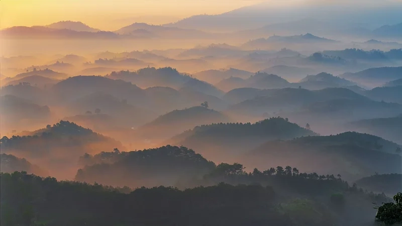 Tận hưởng cảm giác ngủ lều giữa camping đồi bát úp