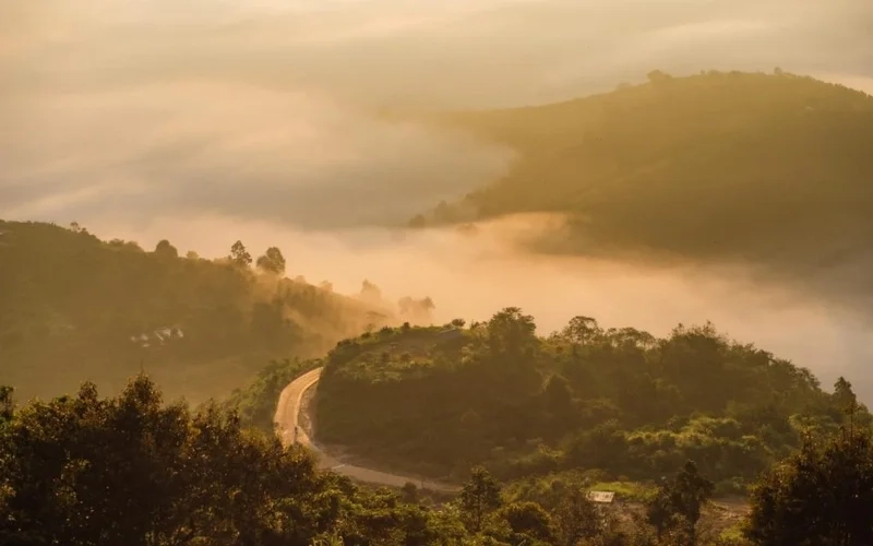 Cùng săn mây sáng sớm tại săn mây đồi bát úp