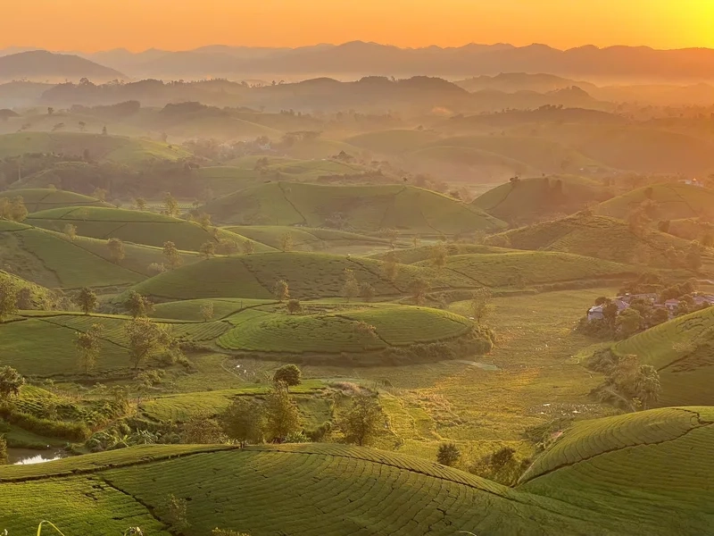 Trekking nhẹ nhàng trên trekking đồi bát úp cuối tuần