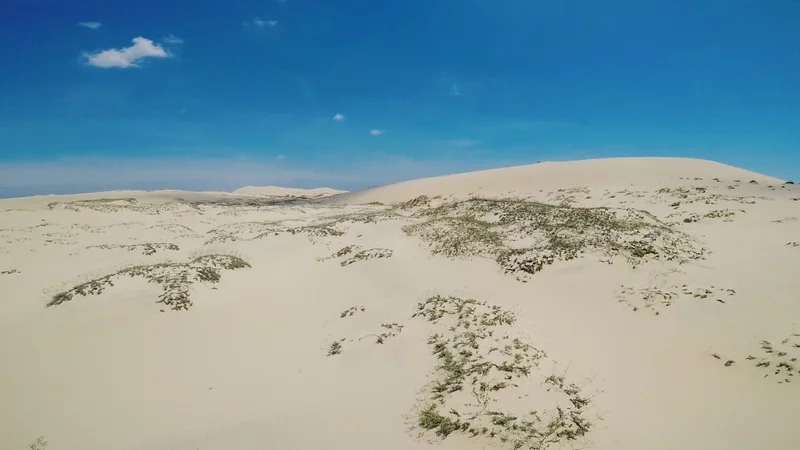 Bạn có biết đồi cát quang phú có gì hấp dẫn không