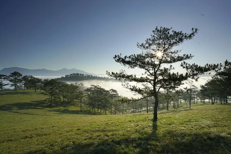 Hướng dẫn chi tiết đường đi đến đồi đa phú địa chỉ