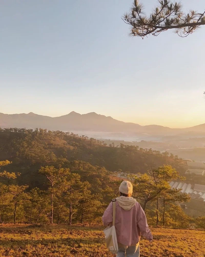 Lên kế hoạch check-in tại đồi đa phú đà lạt địa chỉ nổi tiếng