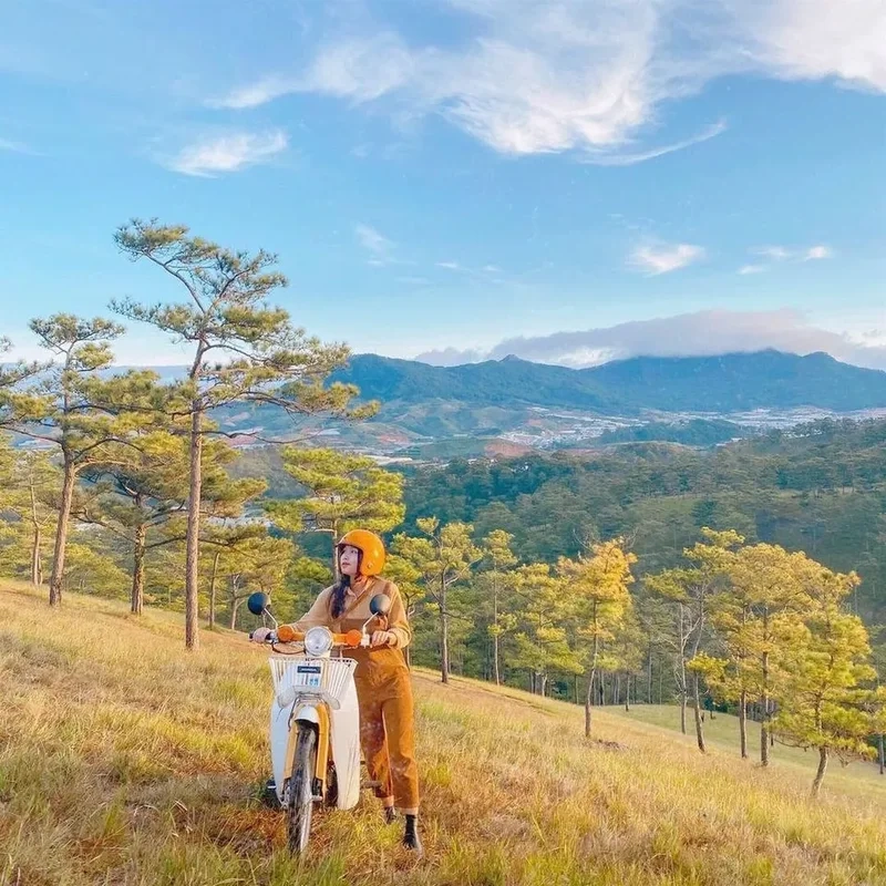 Dạo bước giữa rừng thông xanh mát tại đồi thông đa phú