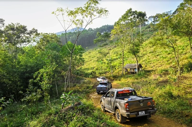 Ngắm bình minh trên đồi hích