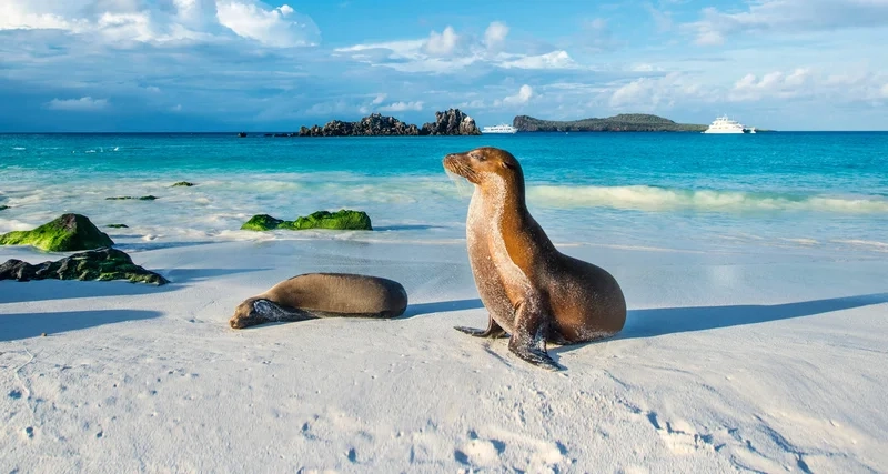 Trải nghiệm hành trình kỳ thú tại đảo galapagos