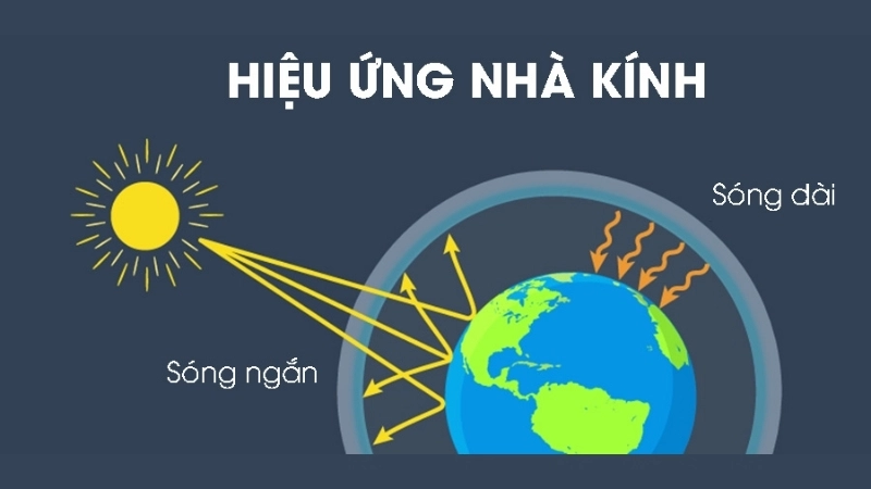 Hiệu ứng nhà kính là gì?