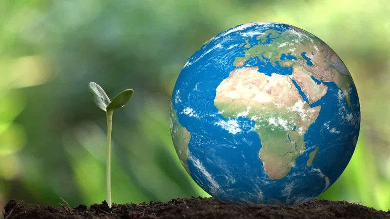 Cảm nhận rộng lớn với hình ảnh trái đất nhìn từ vũ trụ