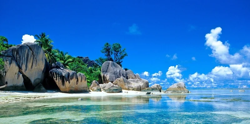 Làm mới màn hình với hình nền cảnh biển đẹp sống động