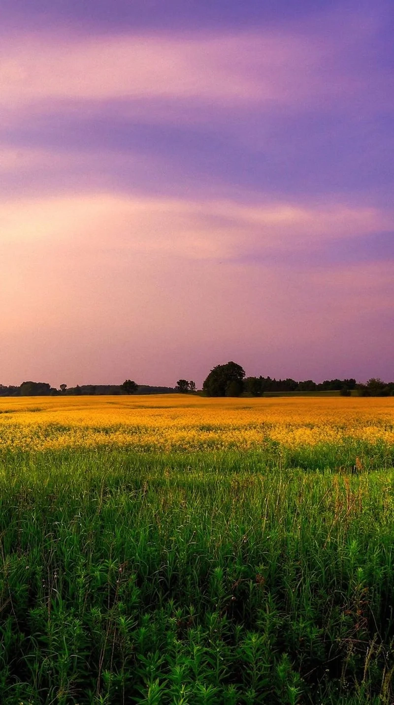 Đổi gió màn hình điện thoại bằng hình nền điện thoại phong cảnh chill