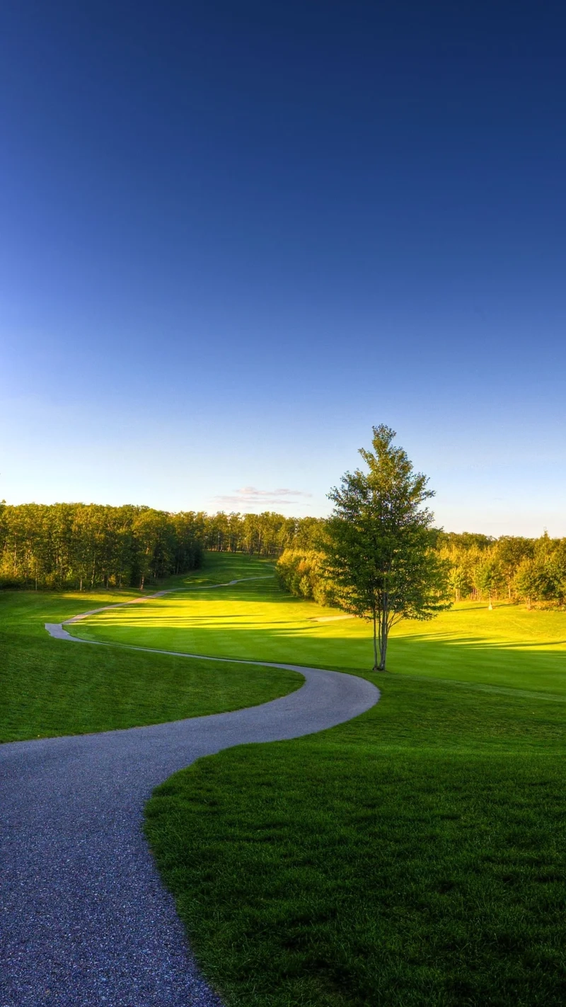 Vẻ đẹp tự nhiên rực rỡ cùng hình nền đẹp về thiên nhiên cho điện thoại