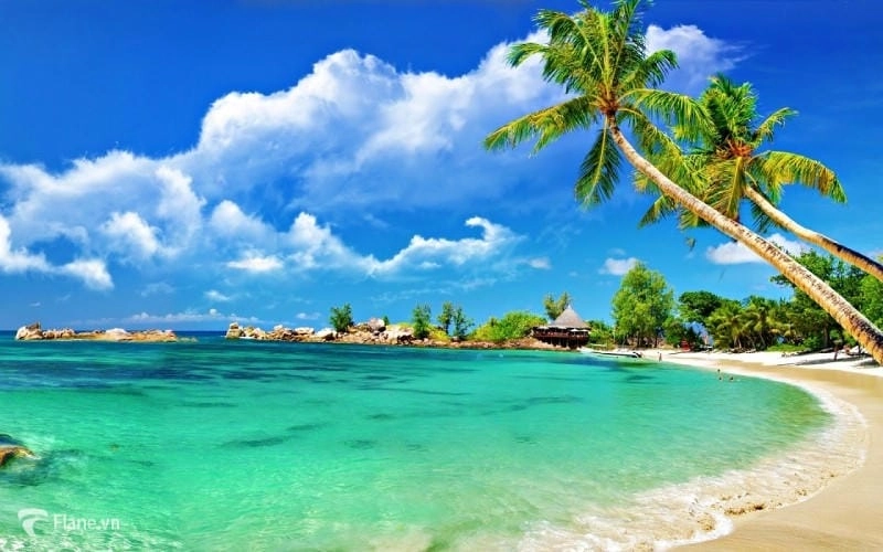 Thử lặn ngắm san hô Hòn Mun