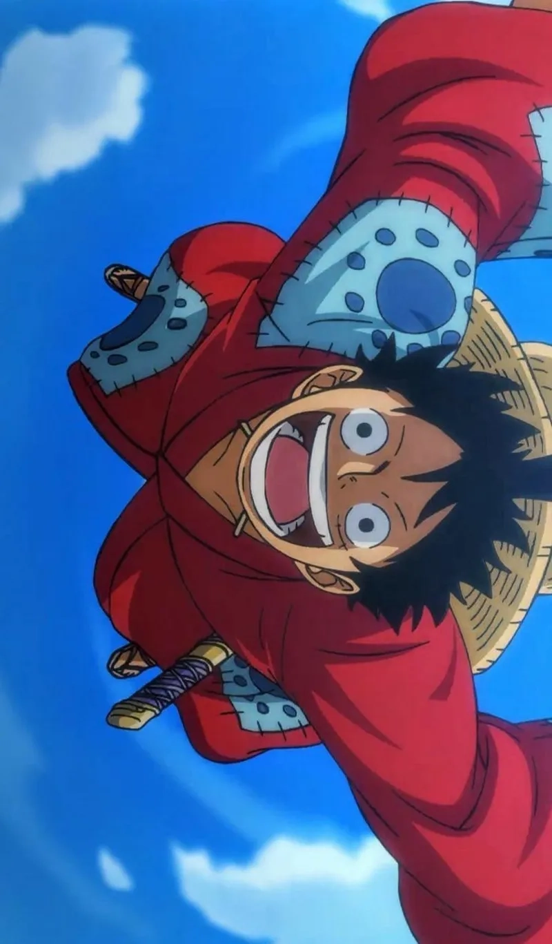 Đồng đội tuyệt vời cùng luffy law