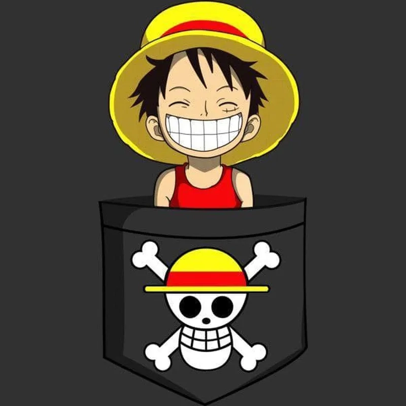 Biểu tượng không thể nhầm lẫn mũ rơm luffy