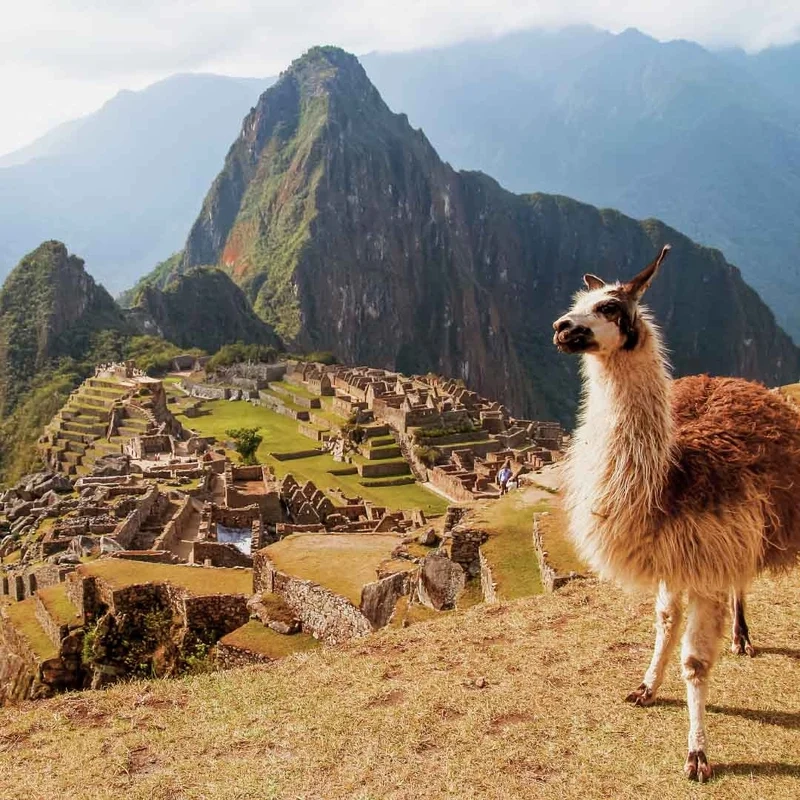 Chụp cảnh đẹp sống động với machu picchu pictures