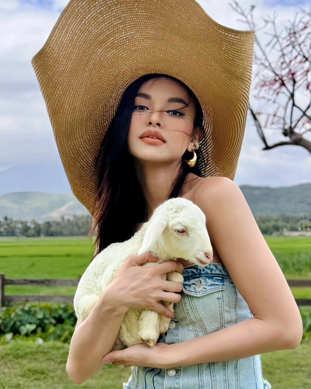 Mai Ngô câu nói viral và kho tàng meme bất tận trên mạng xã hội