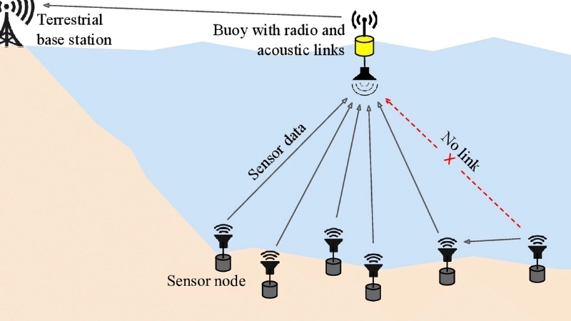 Ứng dụng mạng lưới cảm biến trong thực tiễn