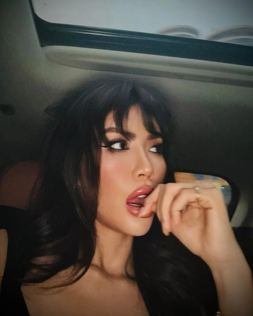 Minh Tú là ai cô là siêu mẫu, hoa hậu và HLV của nhiều chương trình