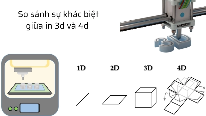 Mô hình so sánh sự khác biệt giữa in 3d và 4d