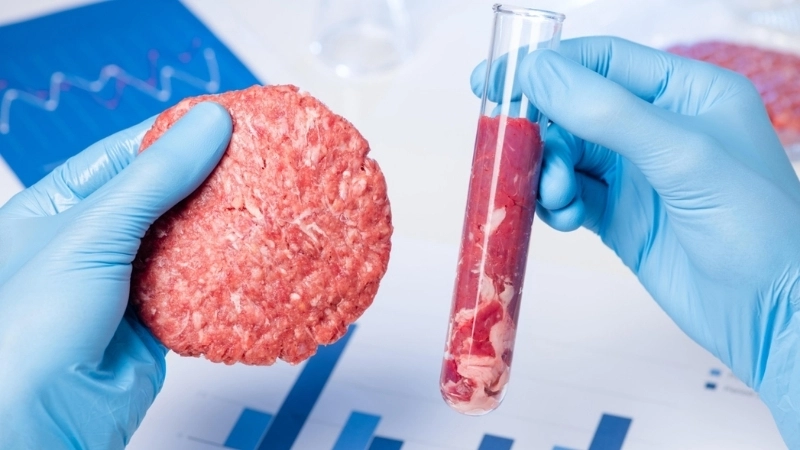  Một miếng thịt nuôi cấy được tạo ra trong phòng thí nghiệm