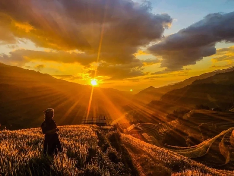 Chọn thời điểm lý tưởng để tham quan mù cang chải mùa nào đẹp