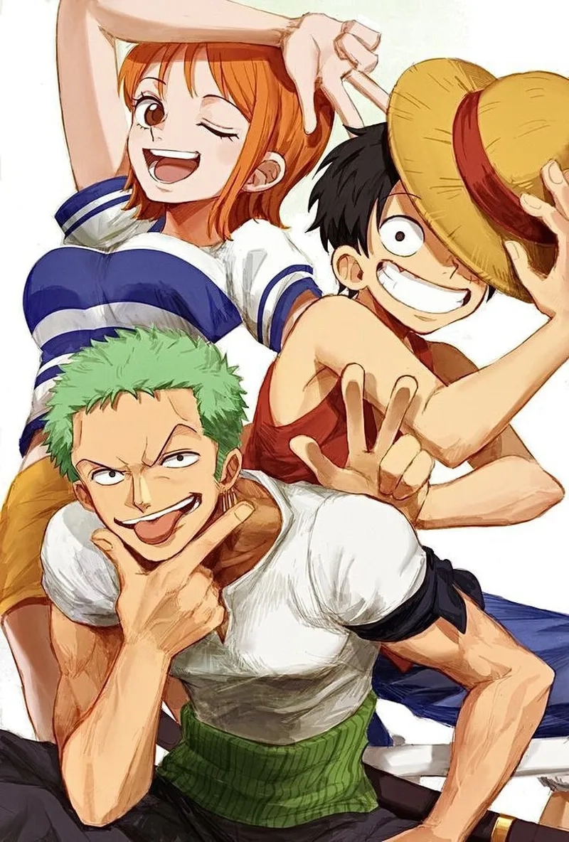 Tình bạn và sức mạnh trong nami luffy zoro