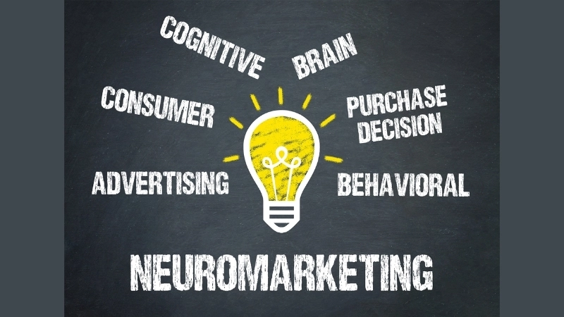  Neuromarketing là gì và cách nó phân tích phản ứng của não