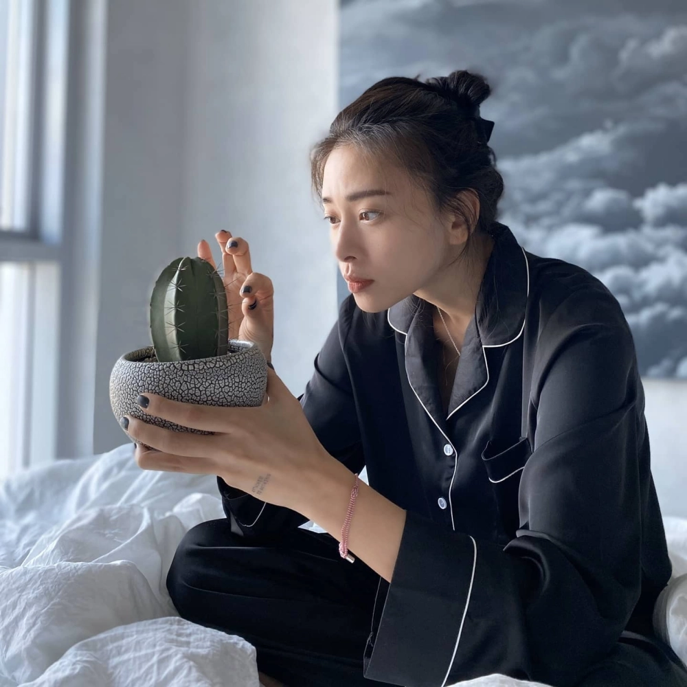 Diễn viên Ngô Thanh Vân và những vai diễn hành động mãn nhãn