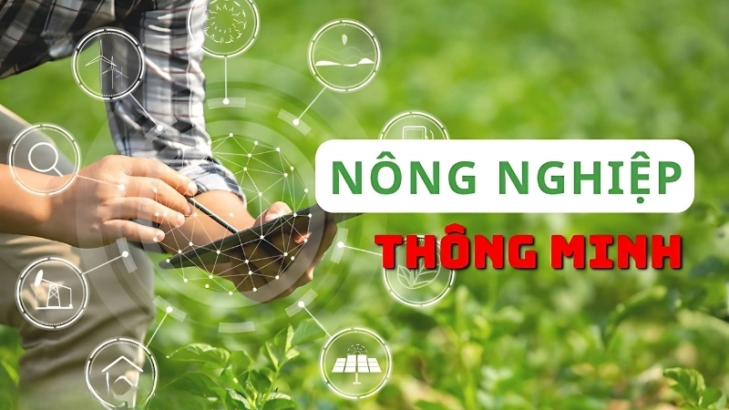 Ứng dụng nông nghiệp thông minh trong thực tiễn