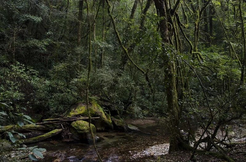 Hành trình kỳ thú ở núi ailao trung quốc