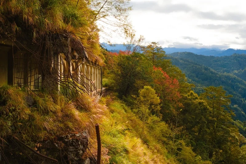 Bí mật thiên nhiên ẩn giấu ở núi alishan nằm ở quốc gia nào