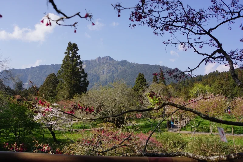 Hành trình thử thách cho ai yêu thích leo núi alishan