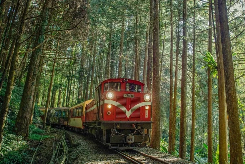 Giải đáp thắc mắc nhiều du khách về núi alishan cao bao nhiêu