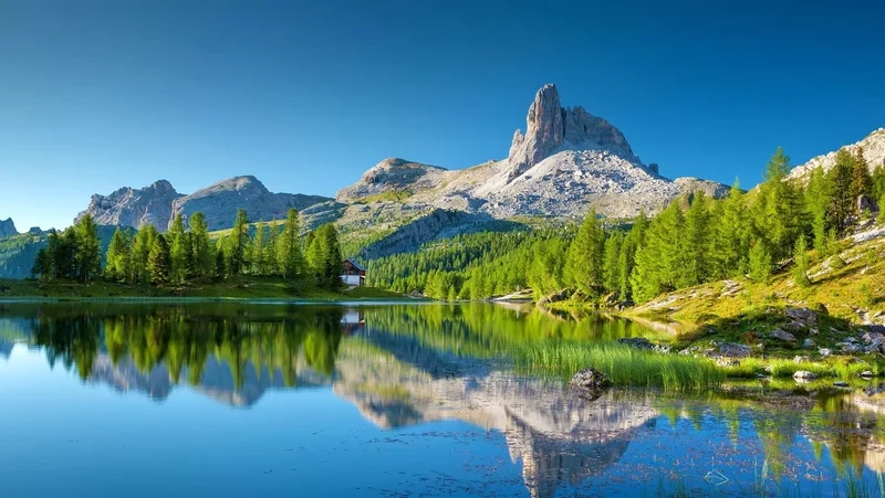 Chinh phục đỉnh núi Alps cao ngất trời