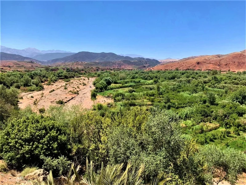 Giải đáp thắc mắc dãy Atlas nằm ở đâu chính xác nhất