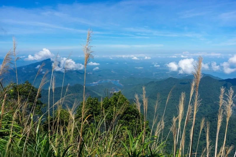 Hòa mình vào thiên nhiên tại vườn quốc gia Bạch Mã