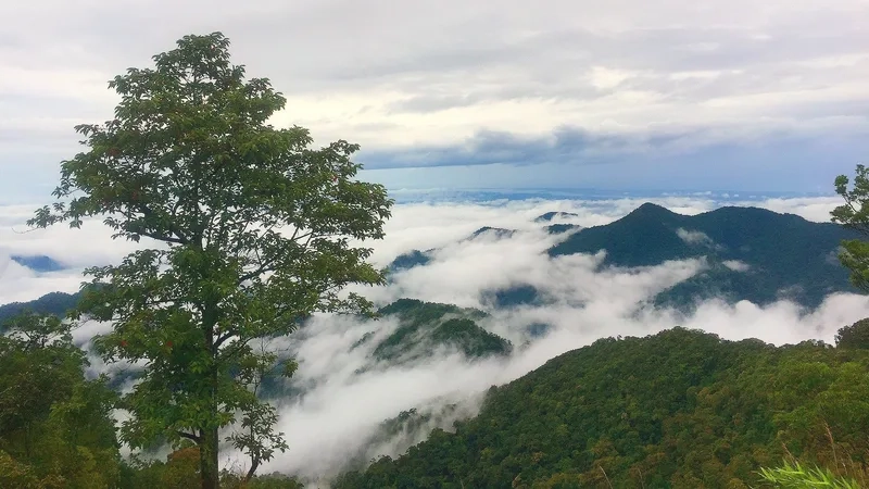 Trải nghiệm cảm giác phiêu lưu khi leo núi Bạch Mã