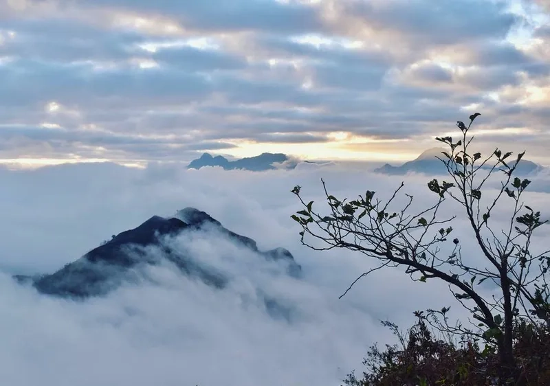 Chinh phục núi bạch mộc lương tử để trải nghiệm cảnh sắc tuyệt đẹp