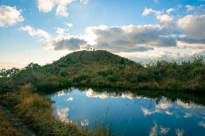 Bạn đã biết bạch mộc lương tử ở đâu chưa