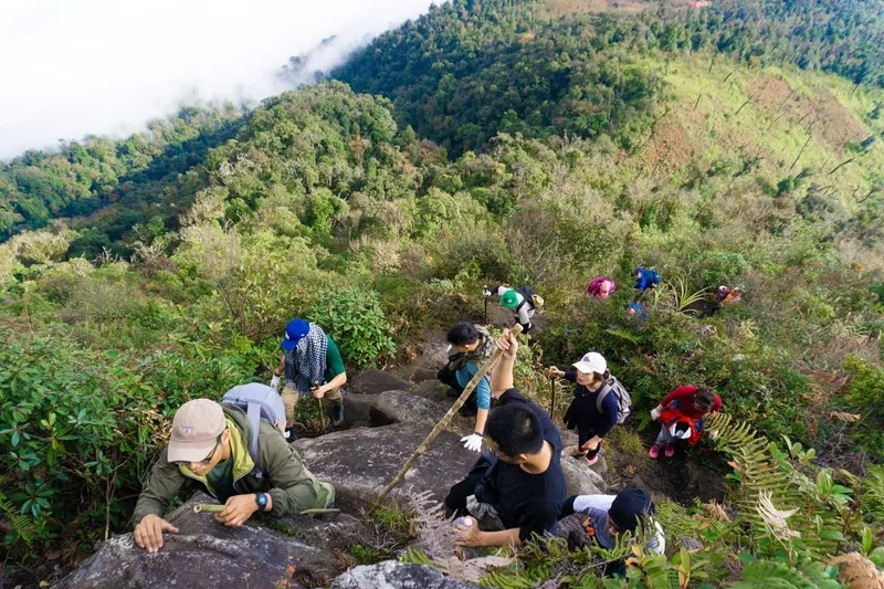 Kinh nghiệm vàng cho chuyến leo bạch mộc lương tử an toàn