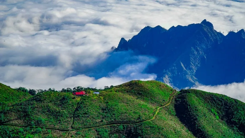 Khám phá bạch mộc lương tử lai châu với khung cảnh hùng vĩ