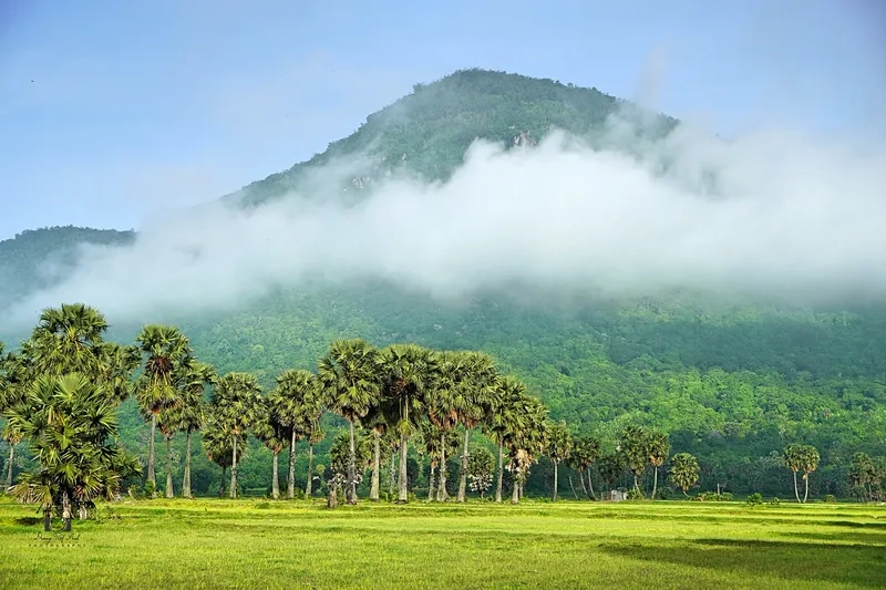 Check-in sống ảo với ảnh núi Bảy Núi cực chất