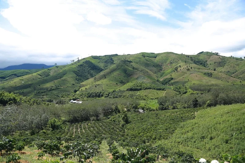 Hành trình leo núi Chư Yang Sin thử thách cho phượt thủ đích thực