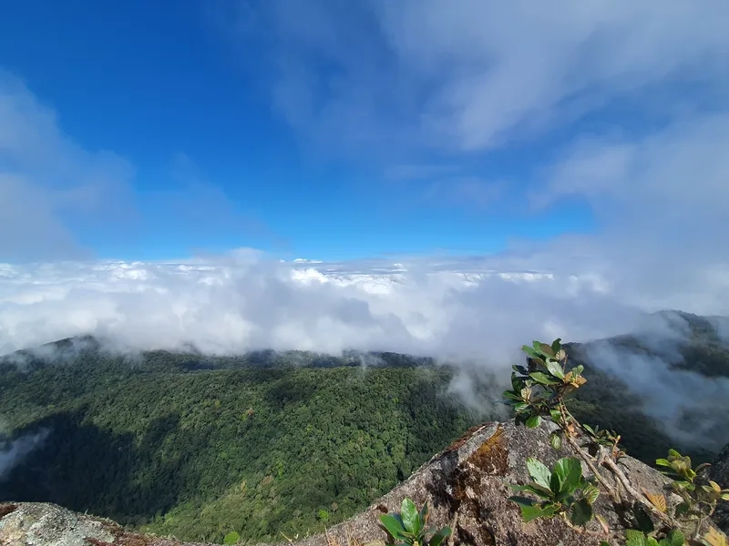 Thả hồn thư giãn với ngắm cảnh Chư Yang Sin đẹp đến ngỡ ngàng