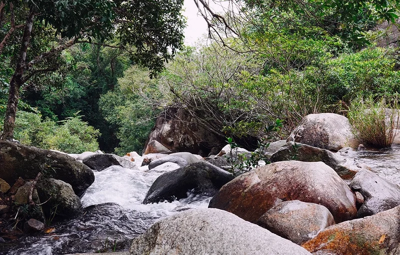 Giới thiệu đôi nét về Núi Chư Yang Sin 