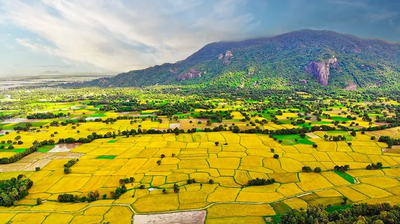 Tìm hiểu chiều cao thực tế của núi cô tô cao bao nhiêu mét