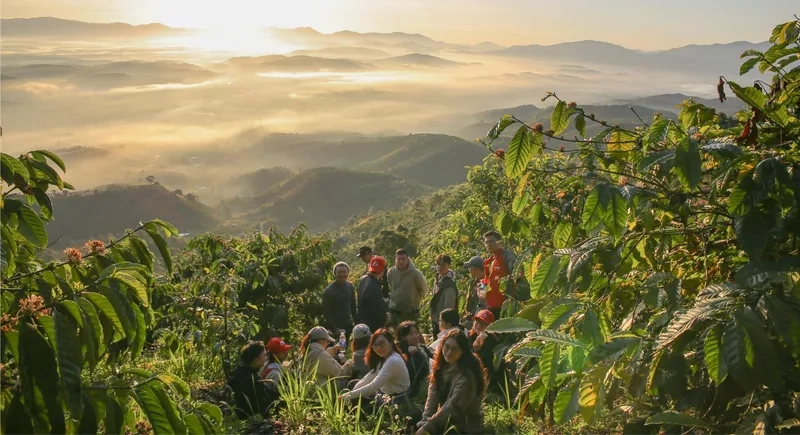 Trải nghiệm núi Đại Bình điểm đến lý tưởng cho tâm hồn bình yên